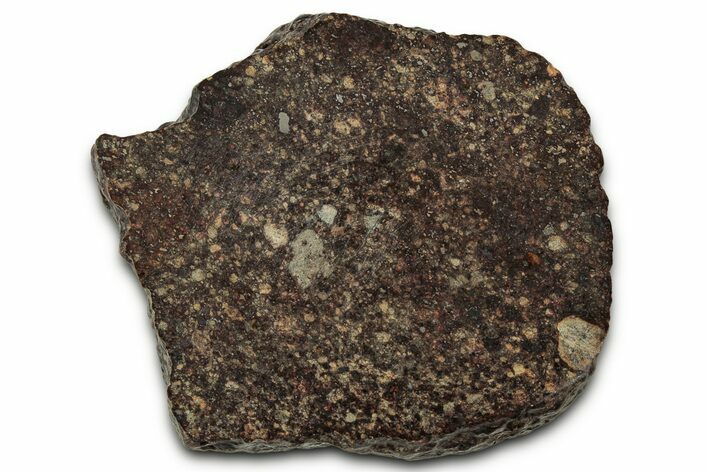 Chondrite Meteorite Section ( g) - NWA #347096